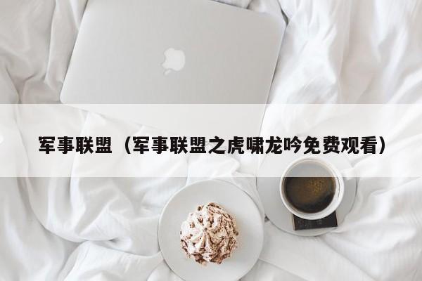 军事联盟（军事联盟之虎啸龙吟免费观看）
