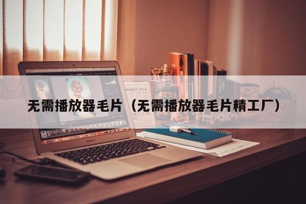 无需播放器毛片（无需播放器毛片精工厂）