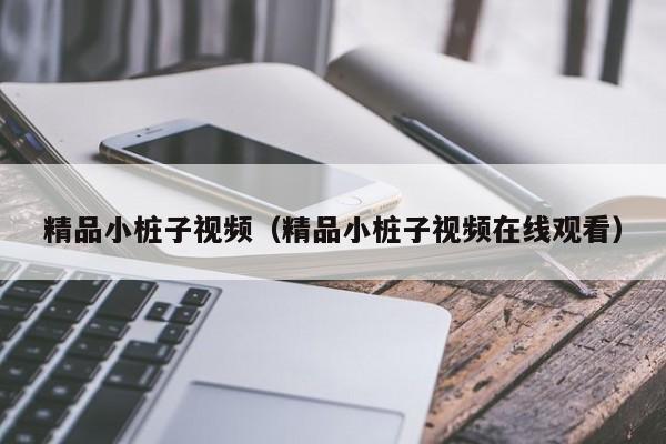 精品小桩子视频（精品小桩子视频在线观看）